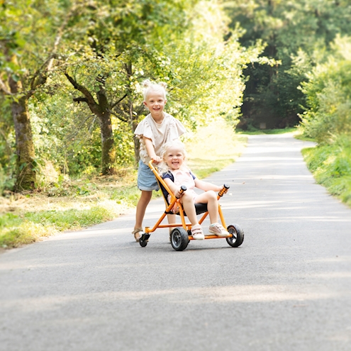 Buggy TopTrike