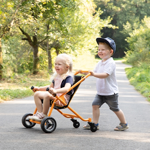 Buggy TopTrike