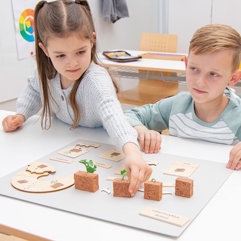 Lebenszyklus Pflanze in der Holzbox