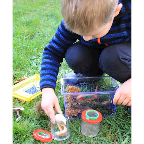 Insektenboxen, 2er-Set